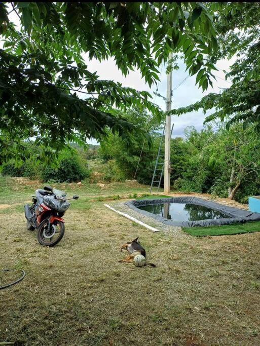 Sattva Farmstay Μπανγκαλόρ Εξωτερικό φωτογραφία
